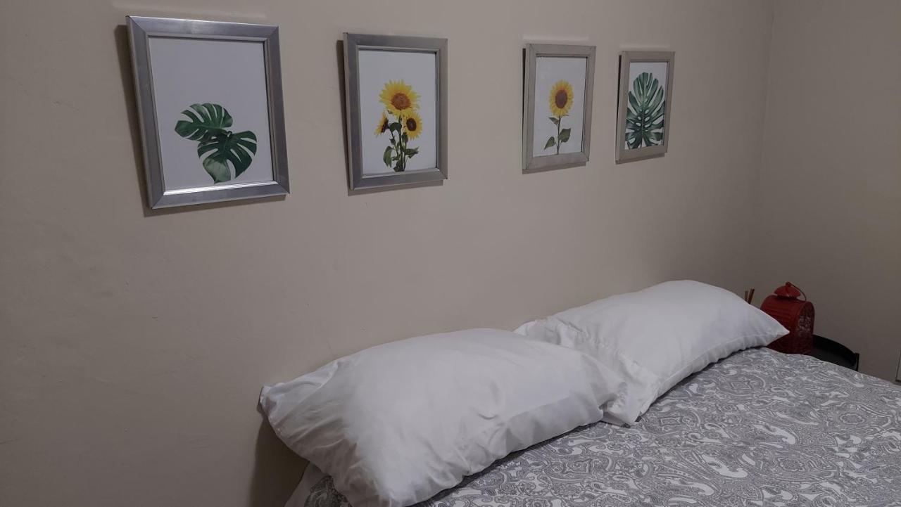 Casa Kamanda, Zona Colonial, Santo Domingo Apartment Ngoại thất bức ảnh